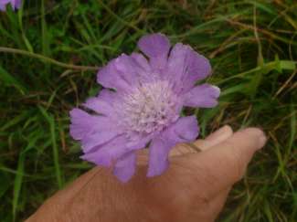 DSC09020.JPG